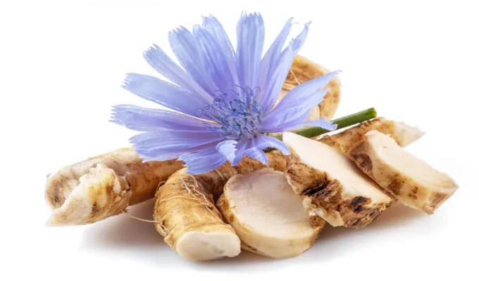 Chicory Root Inulin – EmmaRelied prebiotic fiber ingredient
