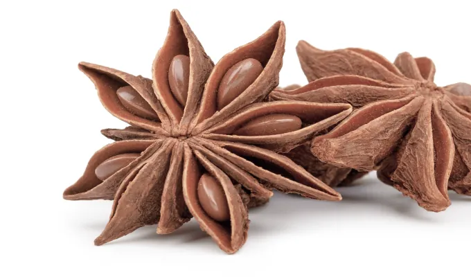 Star Anise – EmmaRelied natural digestive relief ingredient